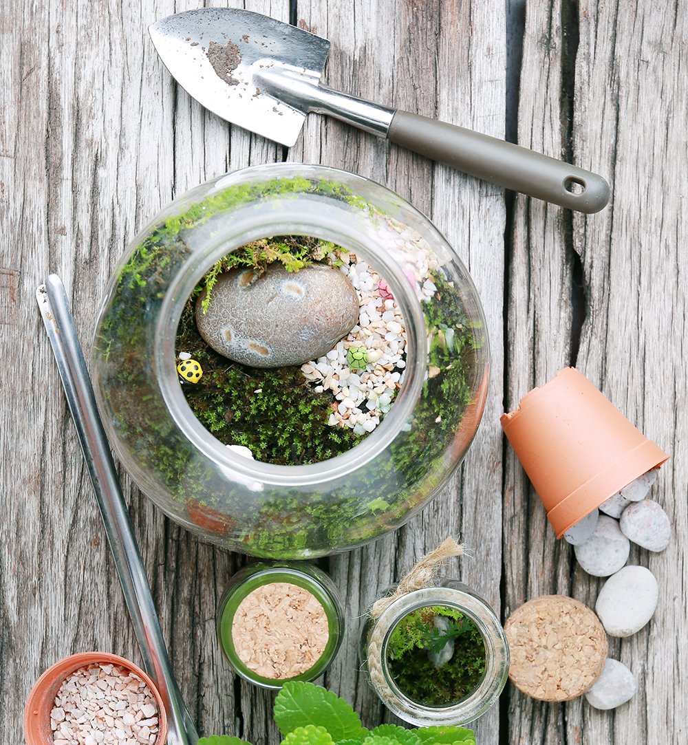 GardenDesignMag's tweet photo. Create memories, start a terrarium with your grandkids!
Follow these 10 steps, and it'll be the beginning of their love of indoor gardening https://t.co/vSgo8Jqkop Photo by Tarapong Srichaiyos #terrariumtips #terrarium #DIY https://t.co/k31PJW2tPd