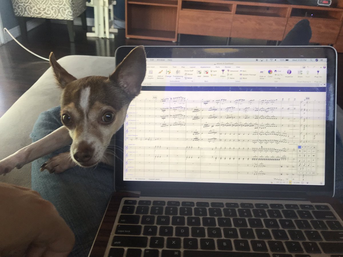 MrPicanco's tweet image. Work distractions 😑 #composerproblems
