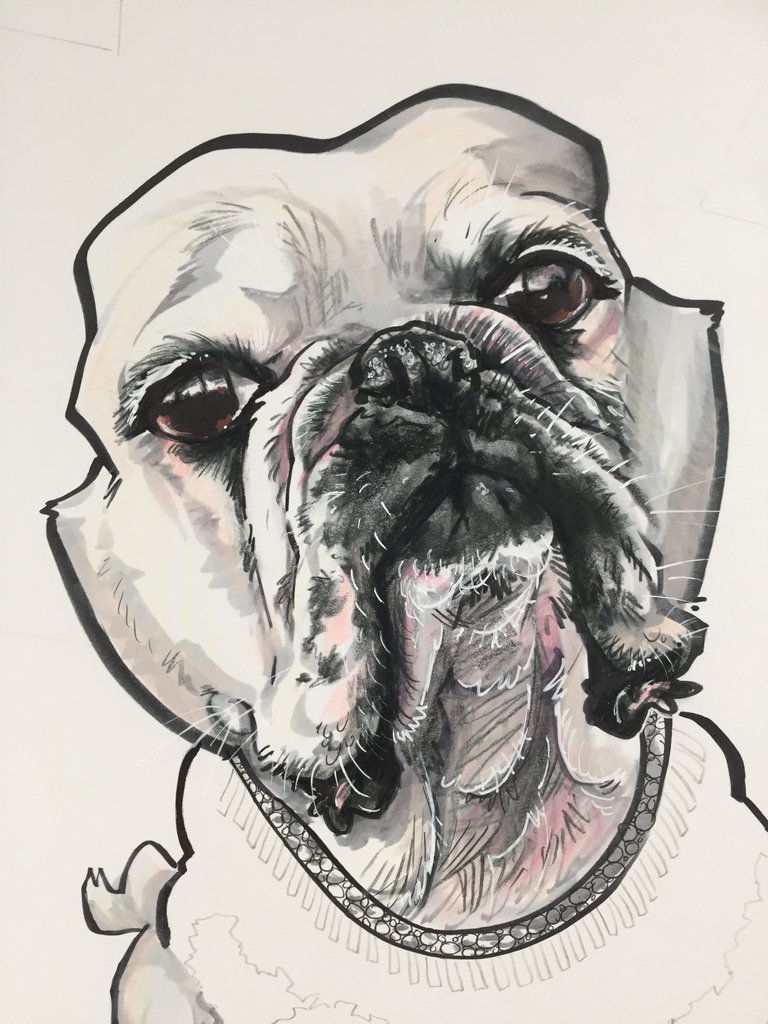 Drawmydog3's tweet photo. WIP- dem folds! 😍 Visit https://t.co/zLPRYQeUjz to order your own custom pet caricature!
#drawmydog #frenchie #petportrait #petcaricature #commissionsopen #ArtistsOnTwitter #animalart #dogart #uniquegifts #cartoonist #mixedmedia #wip https://t.co/usxiHzlE2h