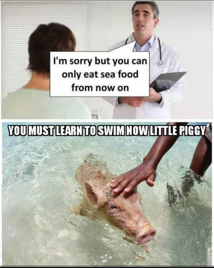 For those members of the #baconbrotherhood <a href="/Edsonius/">Edson Gebo</a>