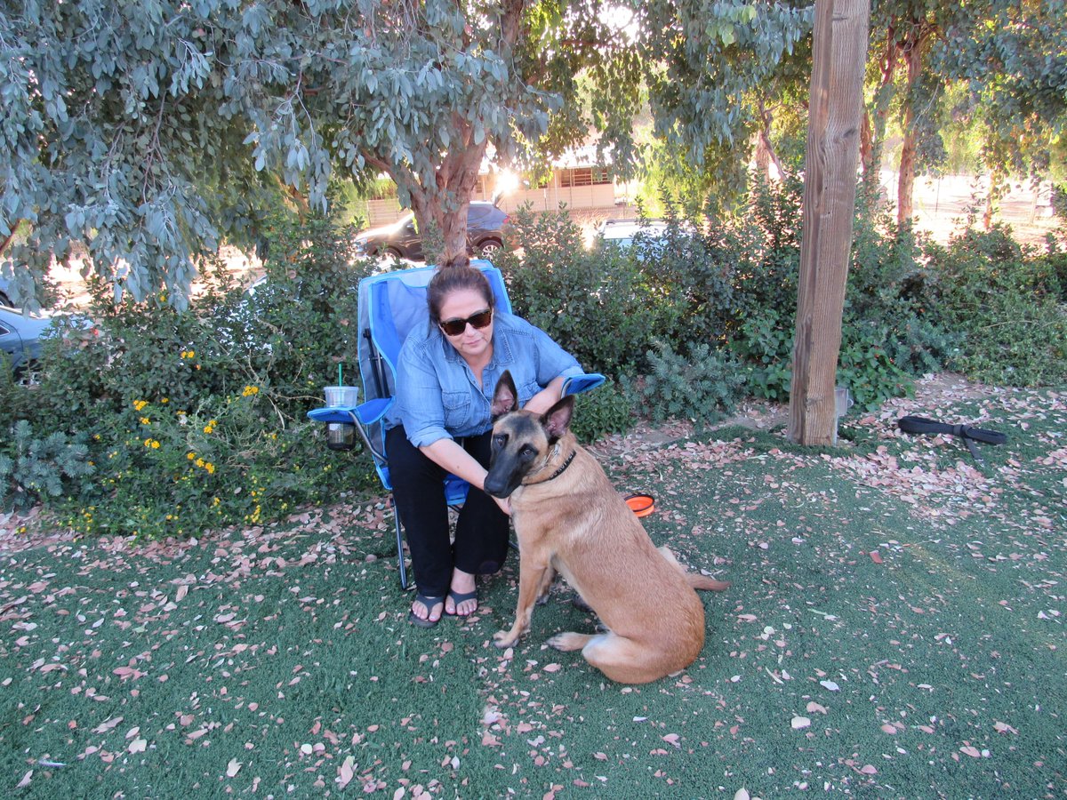 In A Pinch Business Services Twitter