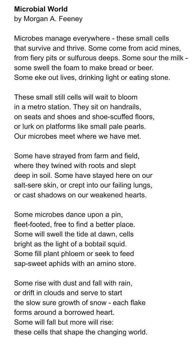 Dr Morgan Feeney tweet media