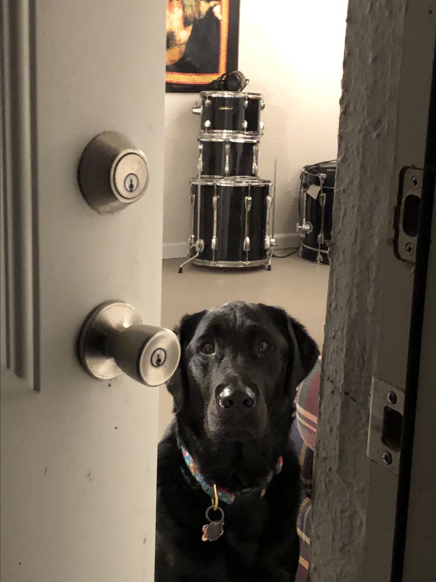 basement boi