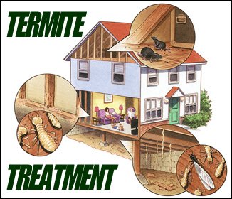 GeffroyTermite's tweet image. #PestProtection #UnionCityTermiteControl #NewarkTermiteControl