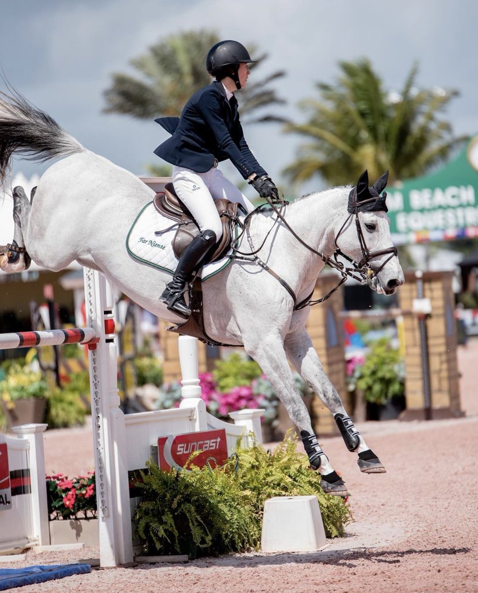 Keep your pony's legs protected with the best of the best. A variety of Equifit boots are available online or in-store!