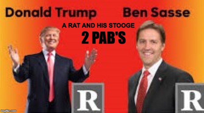 therealwombat1's tweet photo. Ladies And Gentleman The Latest #FlakeyFlake #Nevertrump "#IDontLiketrump" Sellout Afraid Of A #Primary #PAB, May I Introduce To You #Nebraska's Very Own #Coward #PartyOverCountry @bensasse!
#donTheCon Just Endorsed The #Duplicitous #BUM!
#VoteBlue2020 #Local #State And #Federal! https://t.co/aa4HnVq7Lt