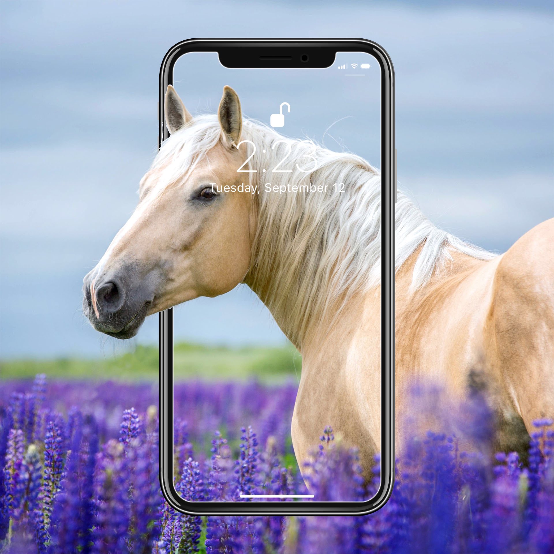 Free HD Horses Live Wallpaper APK Download For Android | GetJar