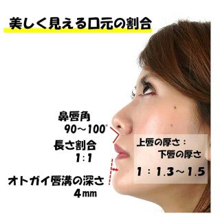 なお Onaco オトガイ唇溝の深さ 1 溝の深さ 男性は深く 女性は浅い 加齢で痩せる リビジョンによると美しいのは4mm 画像引用 T Co Phqemfsigx 2 Snbの角度 セファロ分析でのsnbの角度 諸説あるが東北大では18歳女性で77度平均 唇溝の深さ