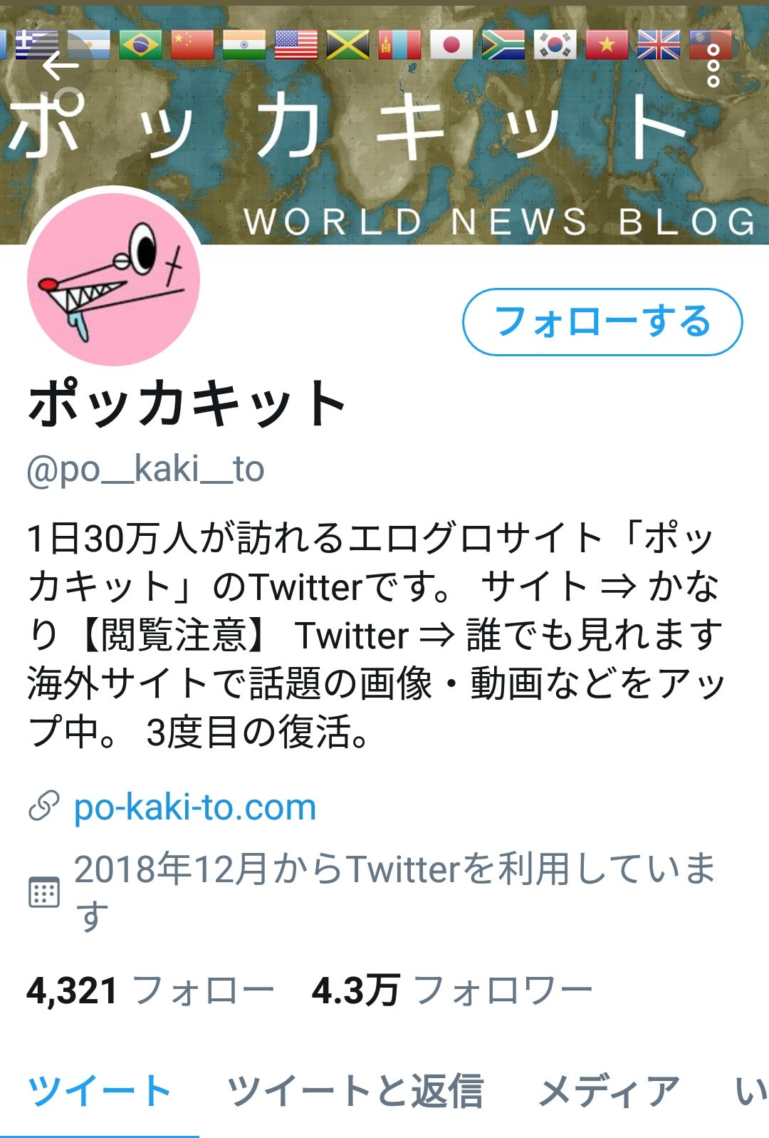🦋Sumika Yamagata on X: グロ動画まとめサイトのポッカキット を、有害なサイトへの共有リンク違反でポチポチ通報。プロフのリンクを踏むとグロ動画サイトに行くので注意。  t.coJwbdNjBPTt  X