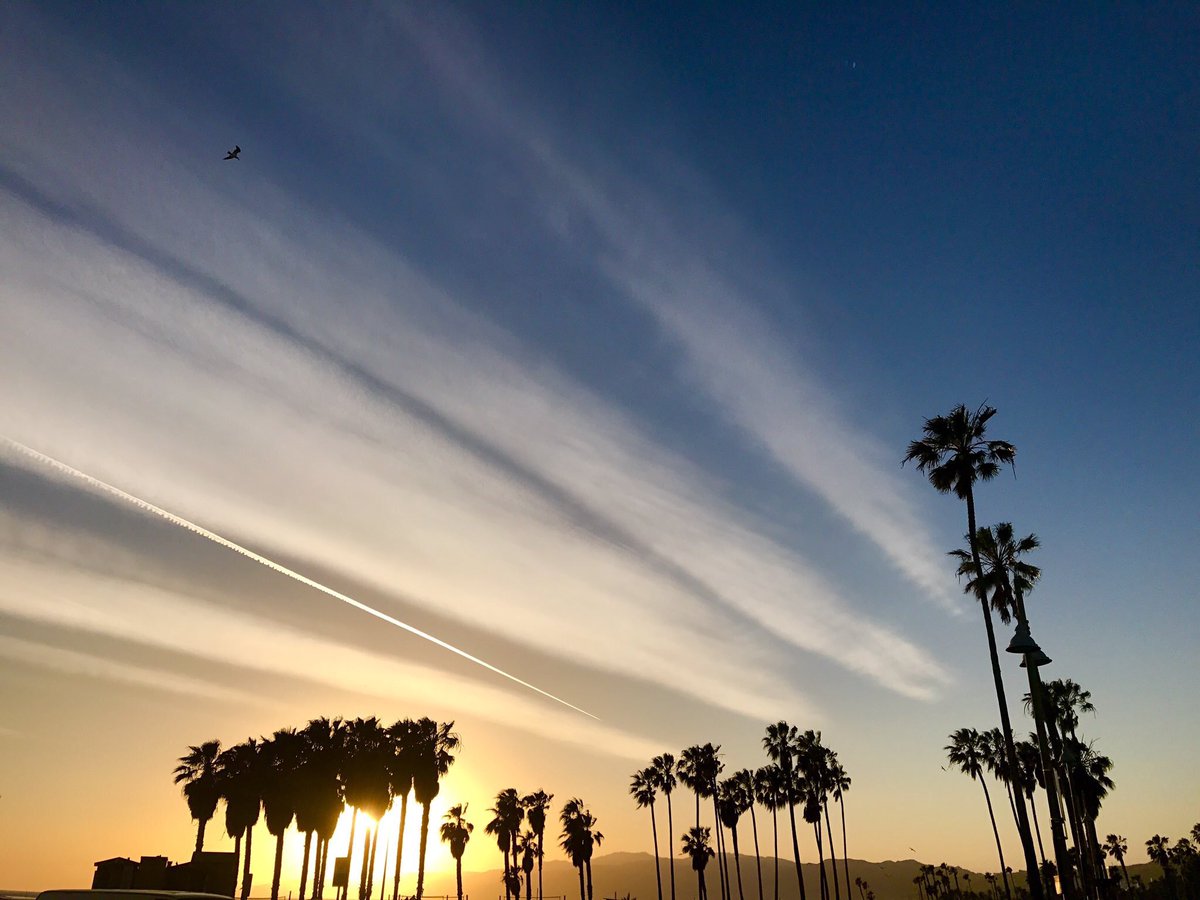 @hotelshangrila @TamieAdaya @Daily_Express If you are coming to Santa Monica and want to see a sunset that will remain with you forever...

Go to the @HotelShangriLA 

#California #Travel ☀️🏄🏾‍♂️