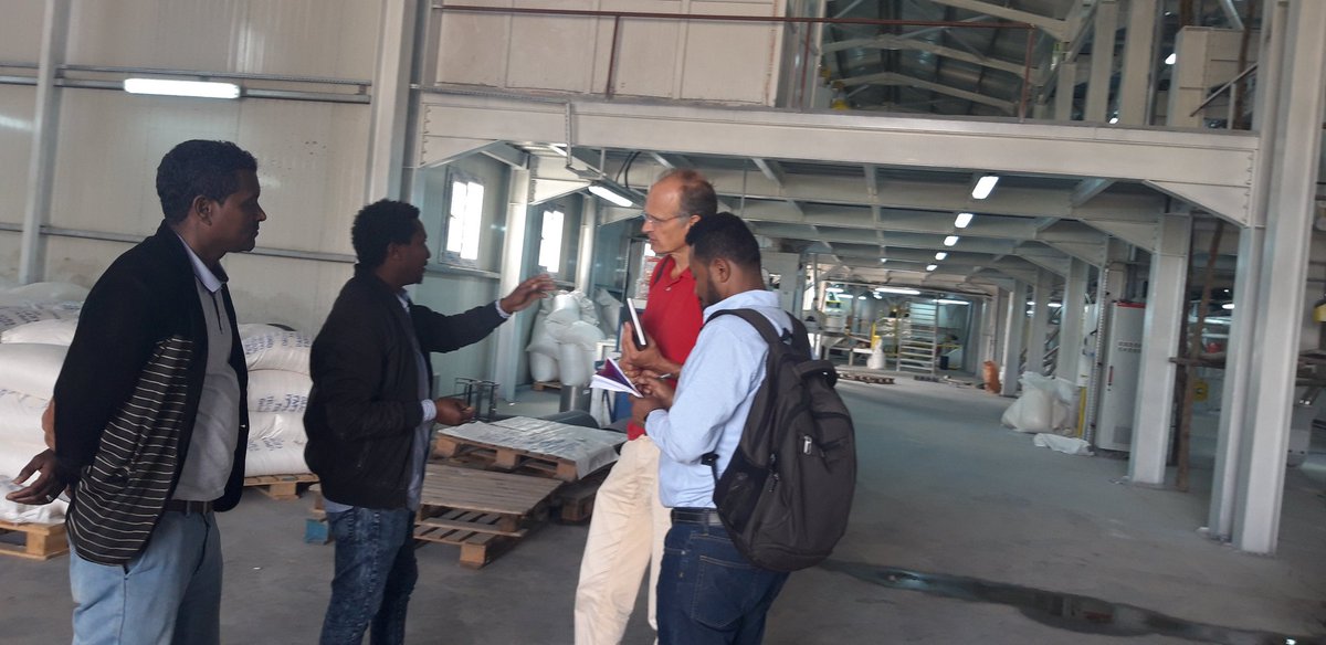 From Farm to Feed Maize value chain assessment <a href="/Agriterra/">Agriterra</a> client Damot union #Ethiopia d/t value creators developed,maize processors visited,high opportunity  at agro-Industry park 4 investment. Storage,improved seed,cluster farming are next action 4 improvement <a href="/Agripool_advice/">Agriterra Agripool</a>