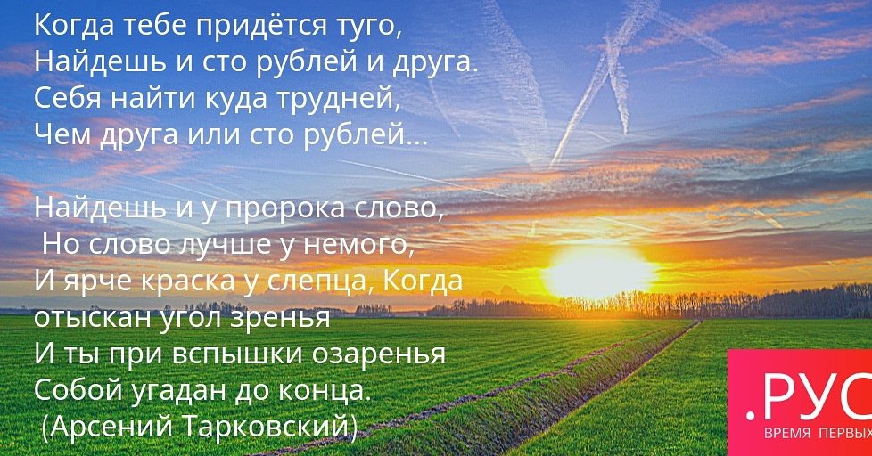 TochkaRus tweet picture