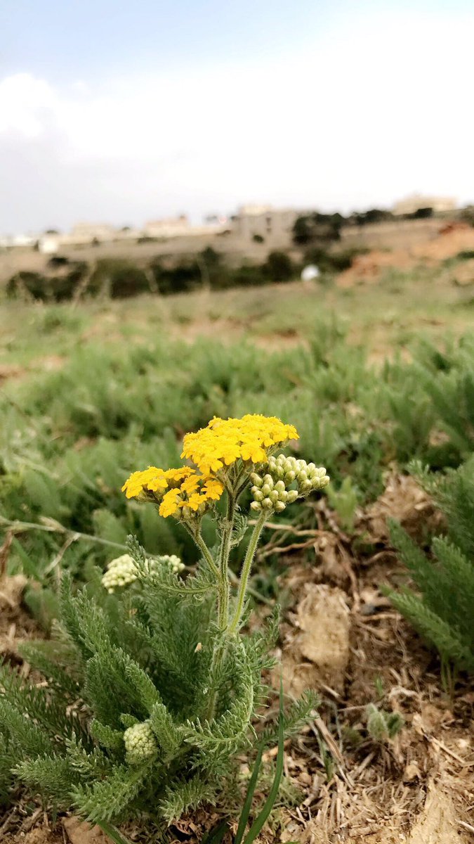 #حط_صوره_لقريتكم