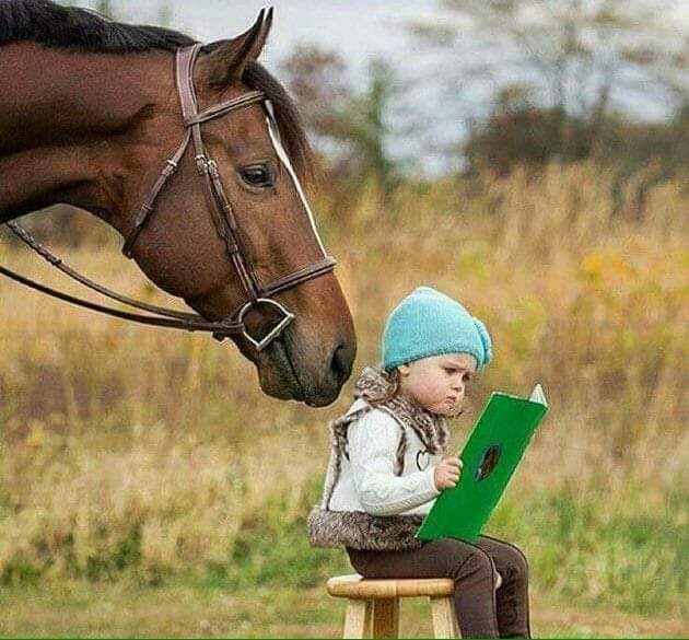 bookmaster61's tweet photo. You can read anywhere and to anyone. Just read! https://t.co/b1ptY5kxhi