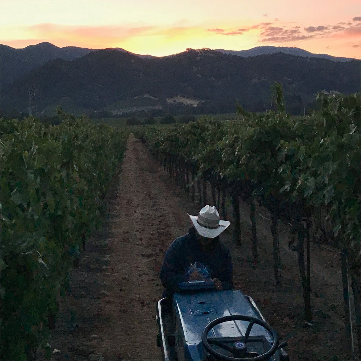 grapeseedwine's tweet photo. Fantastic new wines, perfect for the change in the weather! - https://t.co/6luVr3q4GZ https://t.co/UiXCRqWvSl