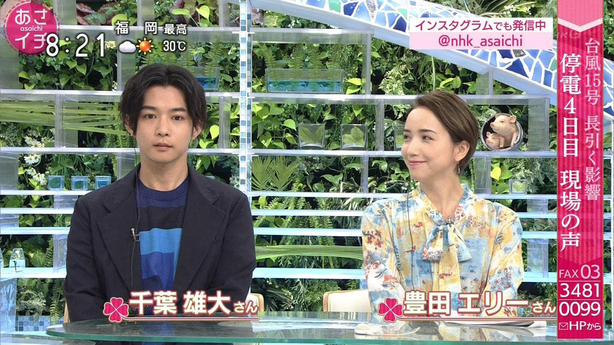 Twitter पर コレデナイト鉱石 放送 Nhk御用達タレント 豊田エリーさん