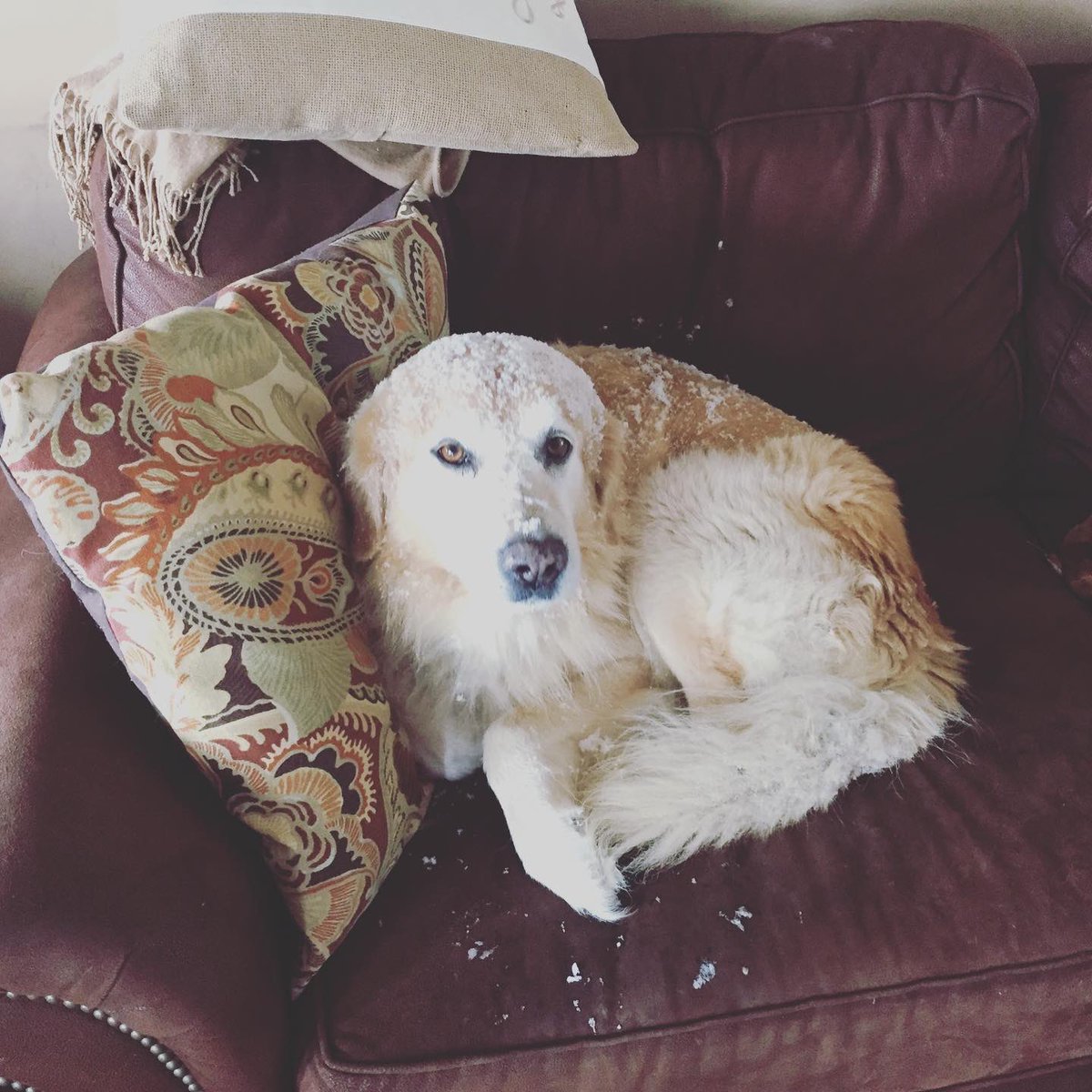 Matthew Wethington tweet media