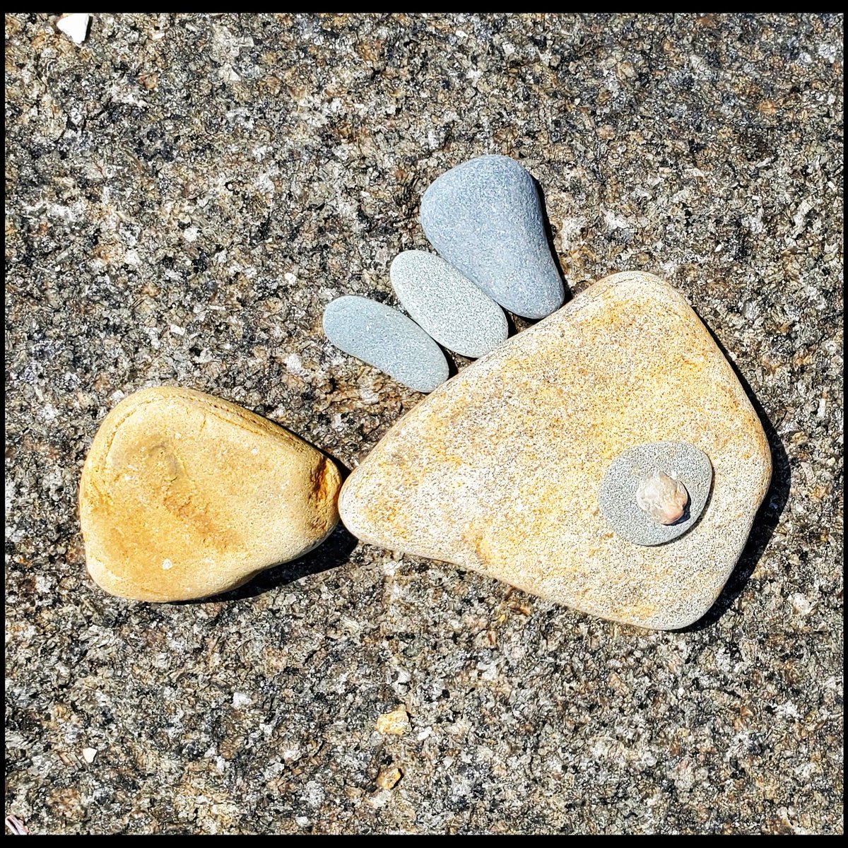 foundFISHheidi's tweet photo. More foundfish.
#foundfishbuzzardsbay #foundfish19 https://t.co/TjQJfTguYj