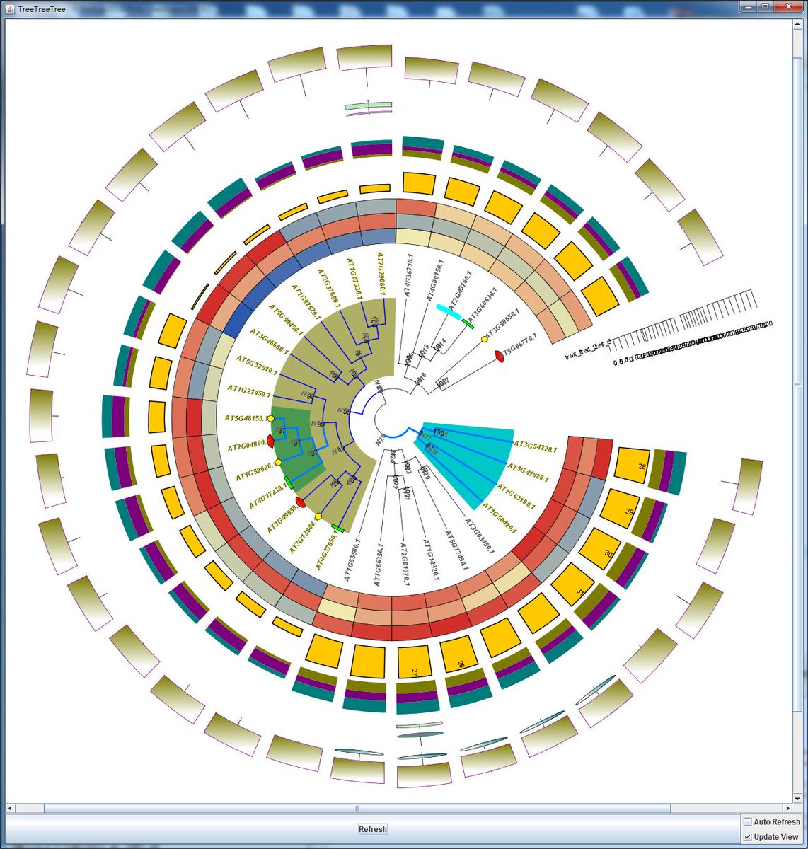c_jchen's tweet photo. #TBtools I have implemented a new function in TBtools for simple phylotree visualization and annotation. https://t.co/0s62htzzhC https://t.co/qH8mBygwek