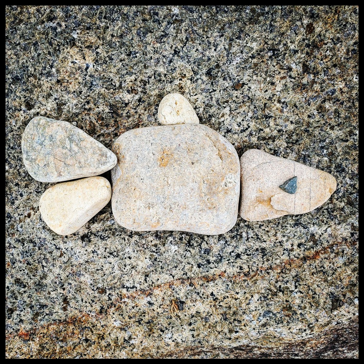 foundFISHheidi's tweet photo. More foundfish.
#foundfishbuzzardsbay #foundfish19 https://t.co/TjQJfTguYj