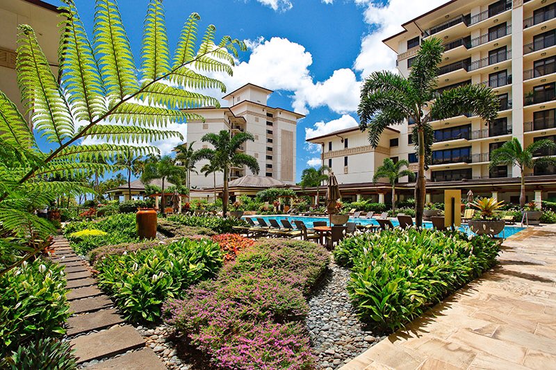 bookdirect's tweet photo. RT @OlaProperties: https://t.co/L0wn2jjhfP
Spectacular Ocean View as well as Pool Side View. Beautiful 2 Bedroom 2 Bath Villa in a Gated Community.
👨👩👧👦Sleeps 6
🛏2 Bed
🛁2 Bath
#KoOlina #BookDirect #OlaProperties #OahuLife #VacationRental #OCeanV… https://t.co/iHW64B1KHs
