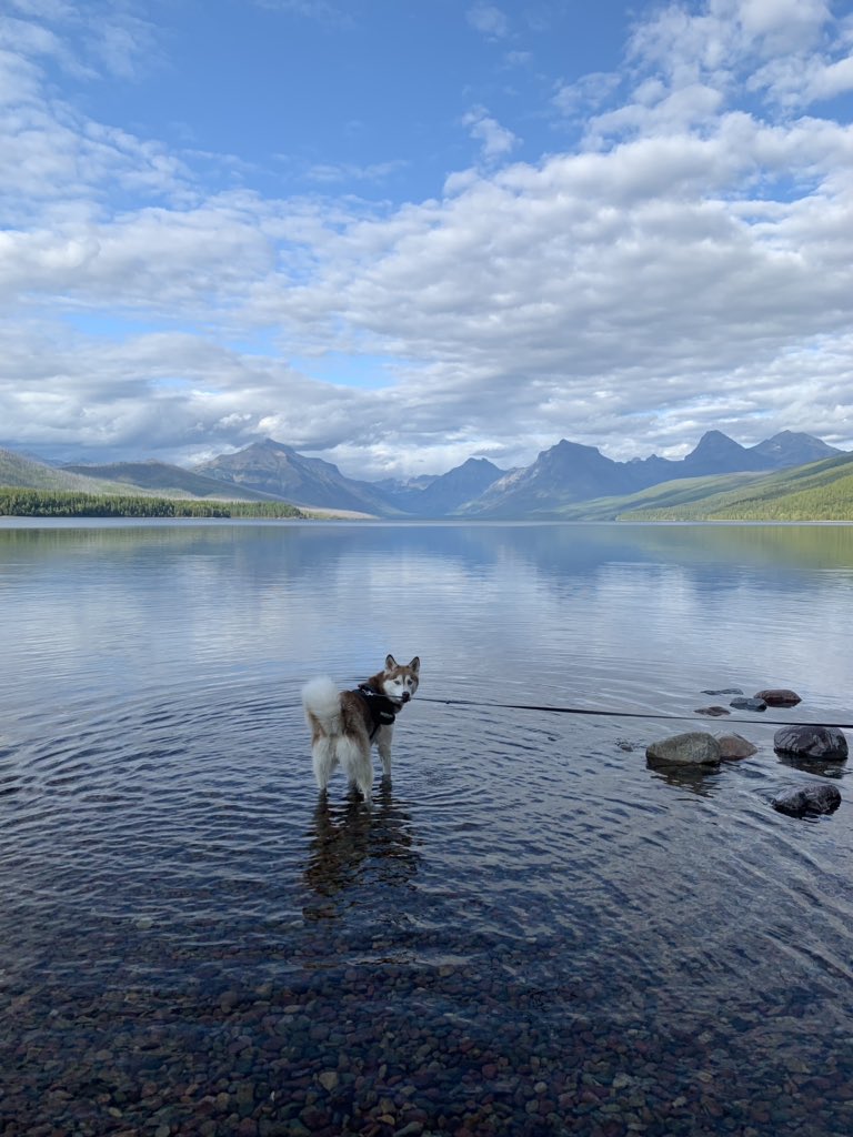 LWhitmorken's tweet photo. I still think I’m prettier? #GlacierNationalPark https://t.co/U3YArmFwOC