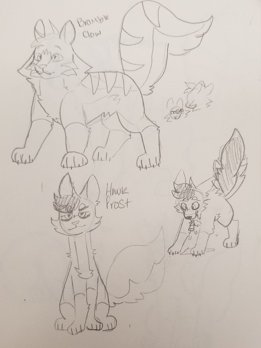 Lynn Echoes Warriors Twitter