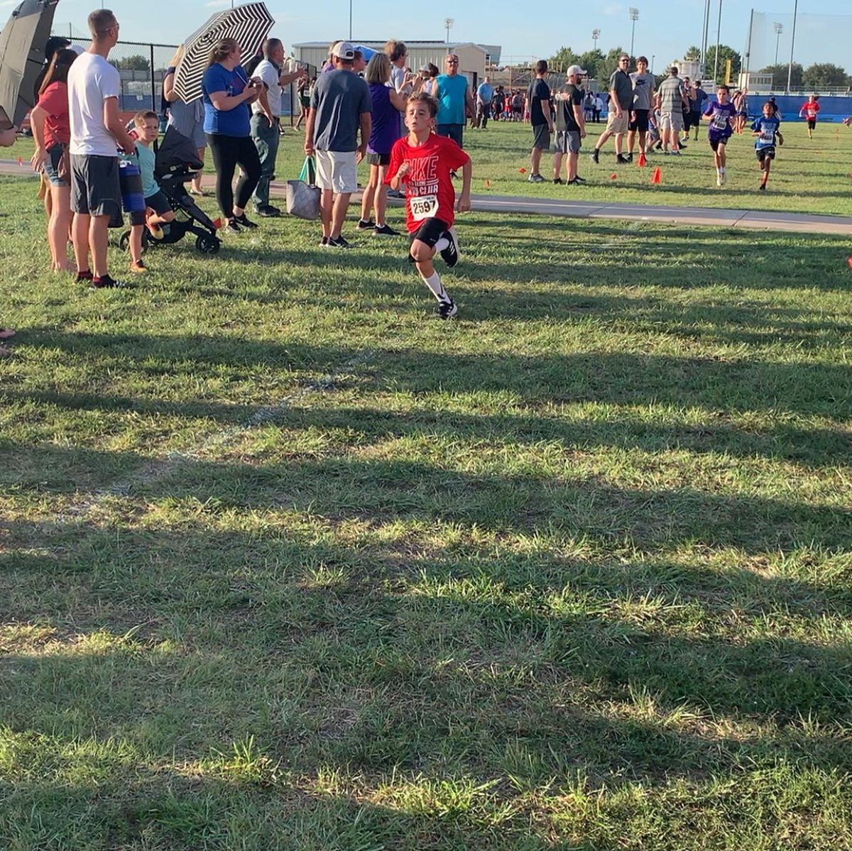 Teri Campbell tweet media