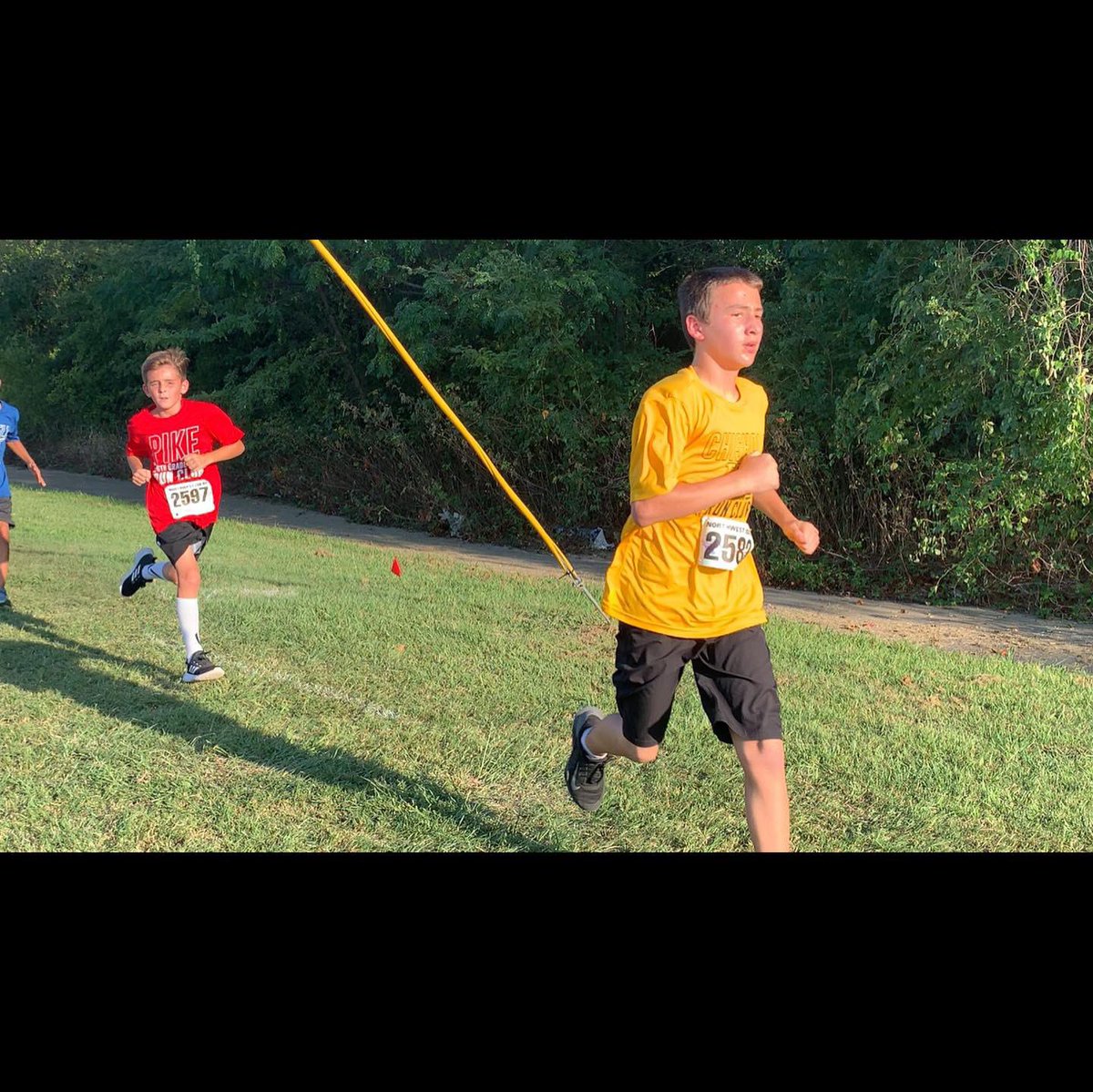 Teri Campbell tweet media