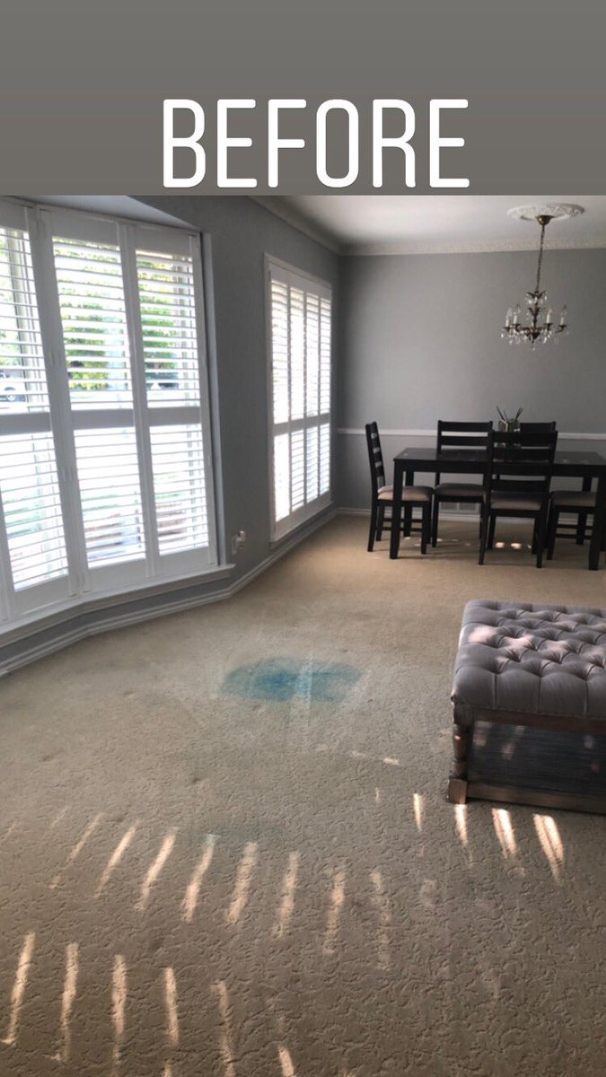 jennfedosky's tweet photo. @oxifresh thank you for saving my carpet! 5 stars!!! https://t.co/FLKiRJFKm0