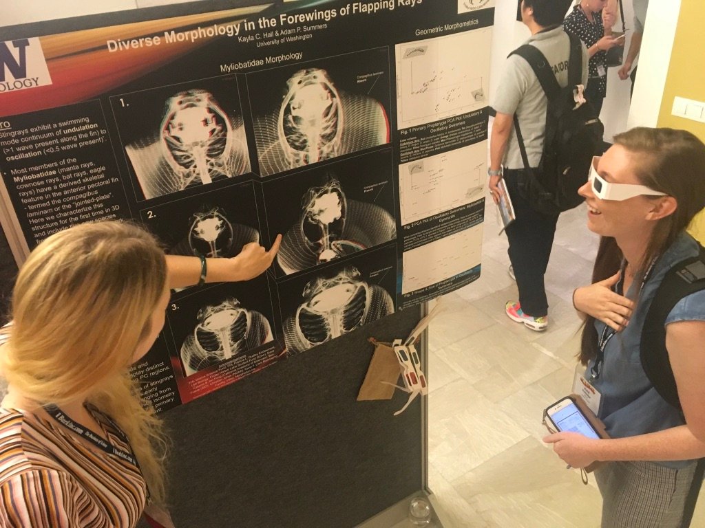 Fishguy_FHL's tweet photo. Today
@KseaHall: do you have a photo of people at my poster at #icvm19?
Me: Of course...and it features viral glamour shot with new species sensation @fishandfreckles...enjoy. https://t.co/Y6wXx6F6BI