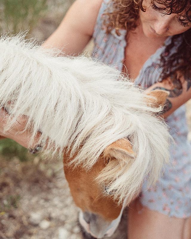 Thekoco's tweet photo. // pure magic. Dolly the mini pony and my gorgeous friend Casey. All the ❤️❤️. #puremagic #spiritanimals #minipony #dolly #austinportraitphotographer #austintexasthings #animalphotographer https://t.co/EgzMc0CPuq https://t.co/vXZg6ctQZv