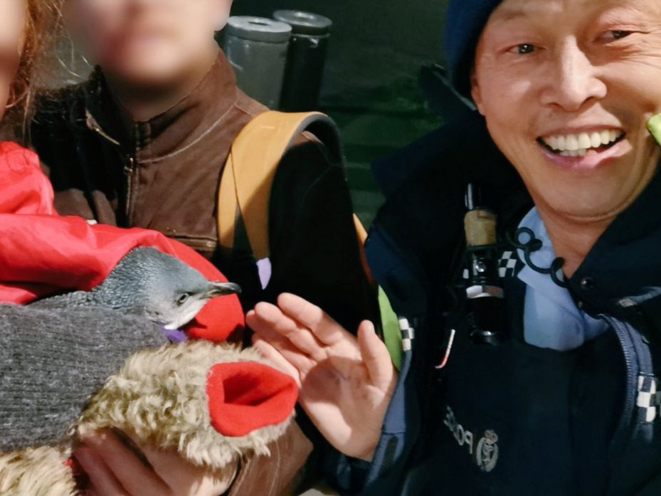 beη🏳️🌈 tweet media