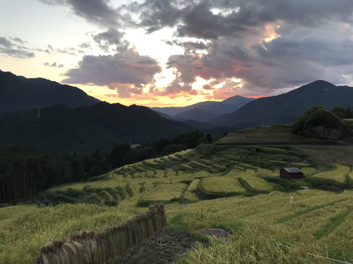 finditinKumano's tweet photo. 2019年9月10日の #丸山千枚田
この日はこのあとも、それはそれは #綺麗 な #夕焼け が見られた日でありました.
It was on 10.9.2019.
It got more colored afterwards. Could be one of those best days...!! xo
#千枚田 #棚田 #棚田百選 #熊野市 #三重県 #kumano #mie #terracedricefield #photo https://t.co/KUwhpWLHLC
