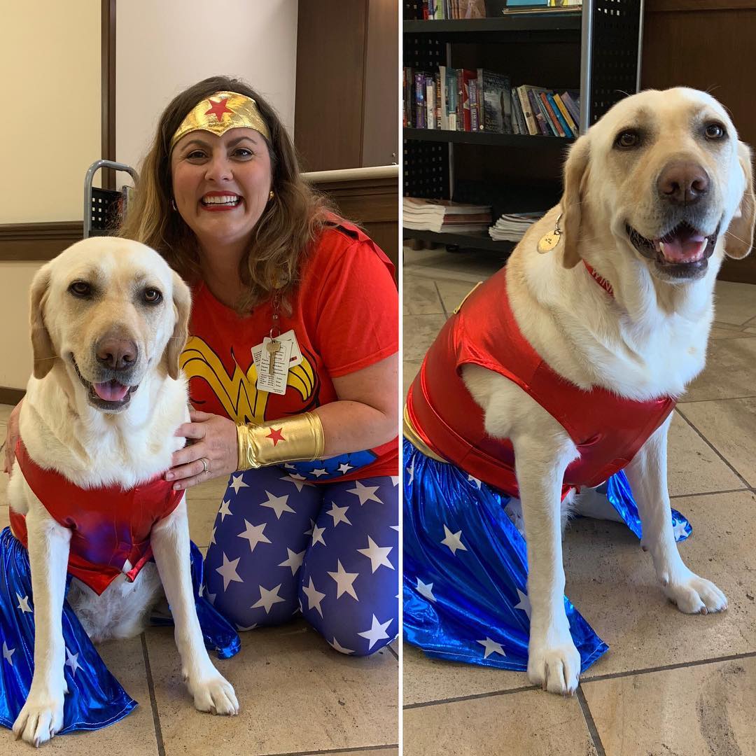 KapiolaniMedCtr's tweet photo. Wishing Winnie, chief canine officer at @kapiolanimedctr, well wishes and safe travels as she emBARKs on a journey to her new home in the Pacific Northwest with her handler, #Kapiolani Pediatric Psychologist Dr. Wendi Major. 🥰https://t.co/9OKxl54HXo #LoveWinnie https://t.co/KzEyBU6nGH