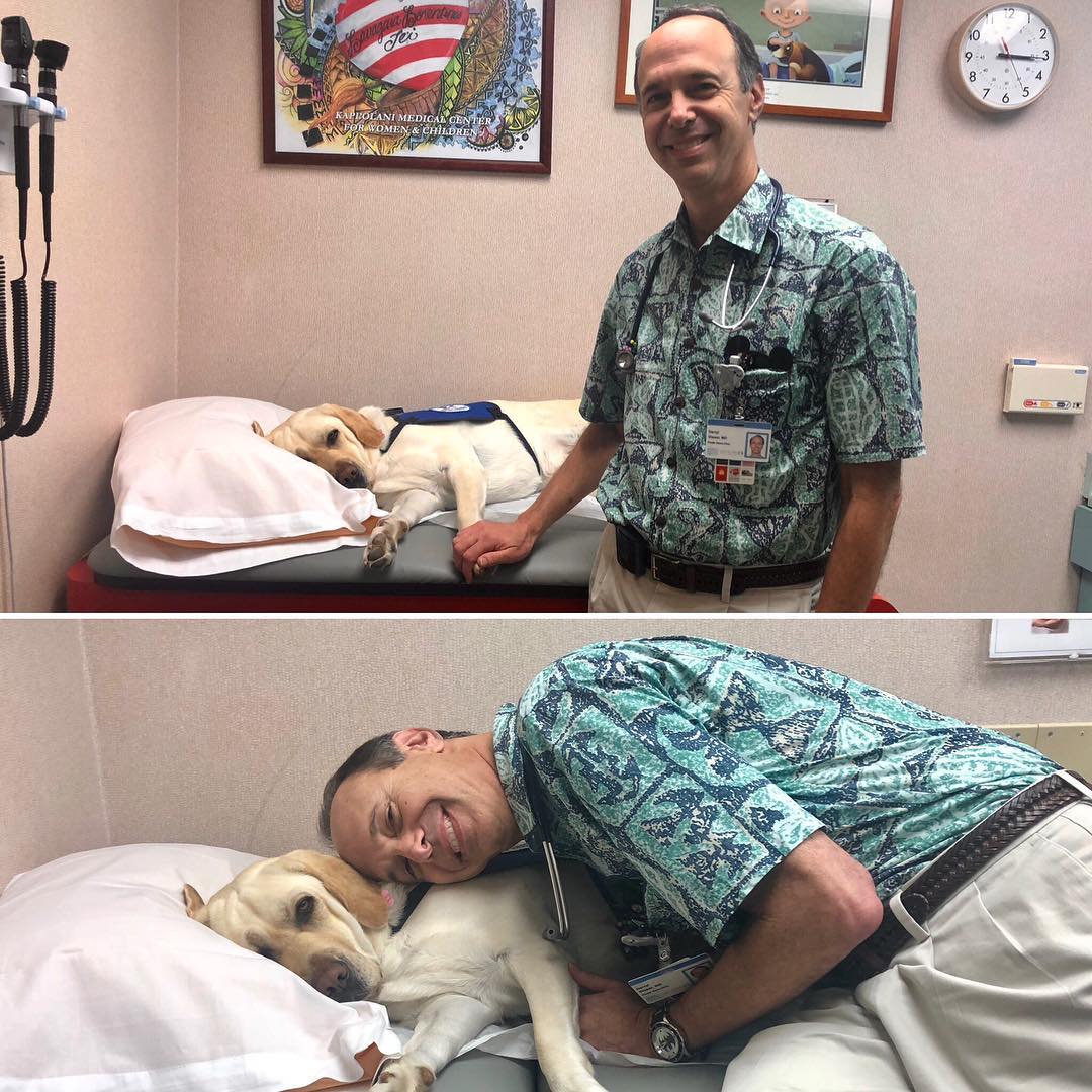 KapiolaniMedCtr's tweet photo. Wishing Winnie, chief canine officer at @kapiolanimedctr, well wishes and safe travels as she emBARKs on a journey to her new home in the Pacific Northwest with her handler, #Kapiolani Pediatric Psychologist Dr. Wendi Major. 🥰https://t.co/9OKxl54HXo #LoveWinnie https://t.co/KzEyBU6nGH