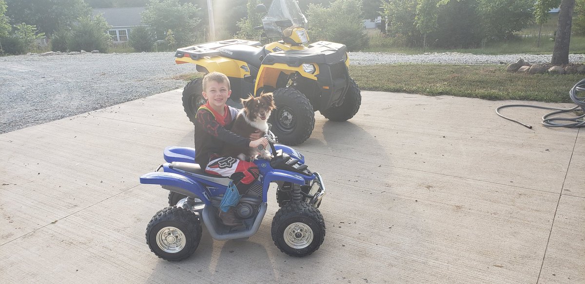 MattStraeter's tweet image. Hmmm not sure what to think... just cute or is this a sign (trader???)