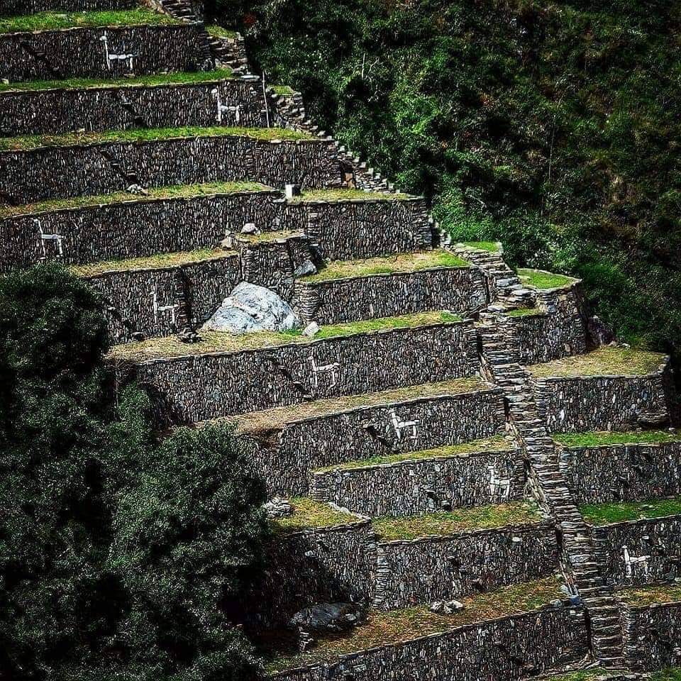 Choquequirao es conocida como la "hermana sagrada" de Machu Picchu por la semejanza estructural y arquitectónica con ésta. #incas #patrimonio #Perú

Imágenes: Apurimac a toda página