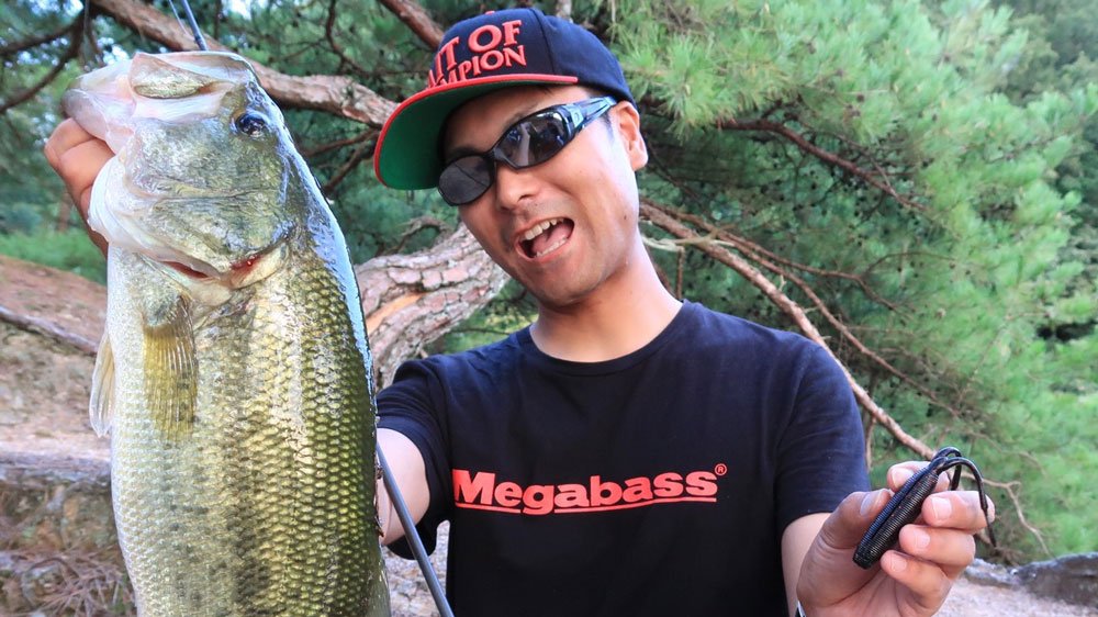 megabass_jp's tweet photo. 【Megabass Blog】夏の終わり？
Megabass フィールドスタッフ 池田 和哉
https://t.co/fPJnJsuJmU

#megabass #mymegabass #lurefishing #sportsfishing #ixishad #tktwister #bottleshrimp #robinblade #levante #バス https://t.co/x58OBLn6DQ