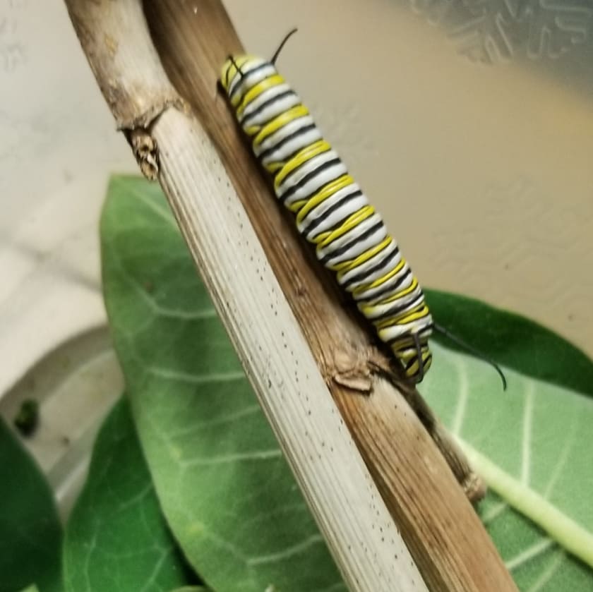 Friends School ATL tweet media