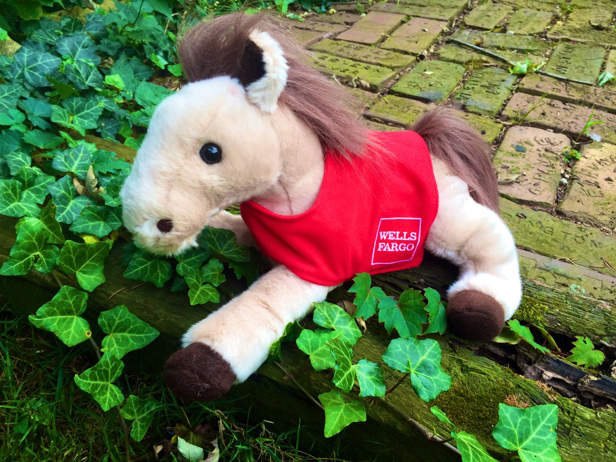LeslieAMarshall's tweet photo. Thanks to my marketing friends @WFAssetMgmt for Hunter! I think he will be happy at our house. #wellsfargopony https://t.co/6Zj5dfJtth