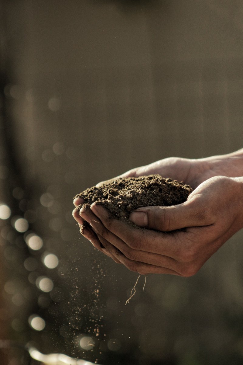 In order to feel better we have to work on changing our mindset to a positive one. A great way is to think of things you are grateful for. 

For #harvest19 let’s encourage each other to share. In the comments, share one item and tag a friend to share theirs!