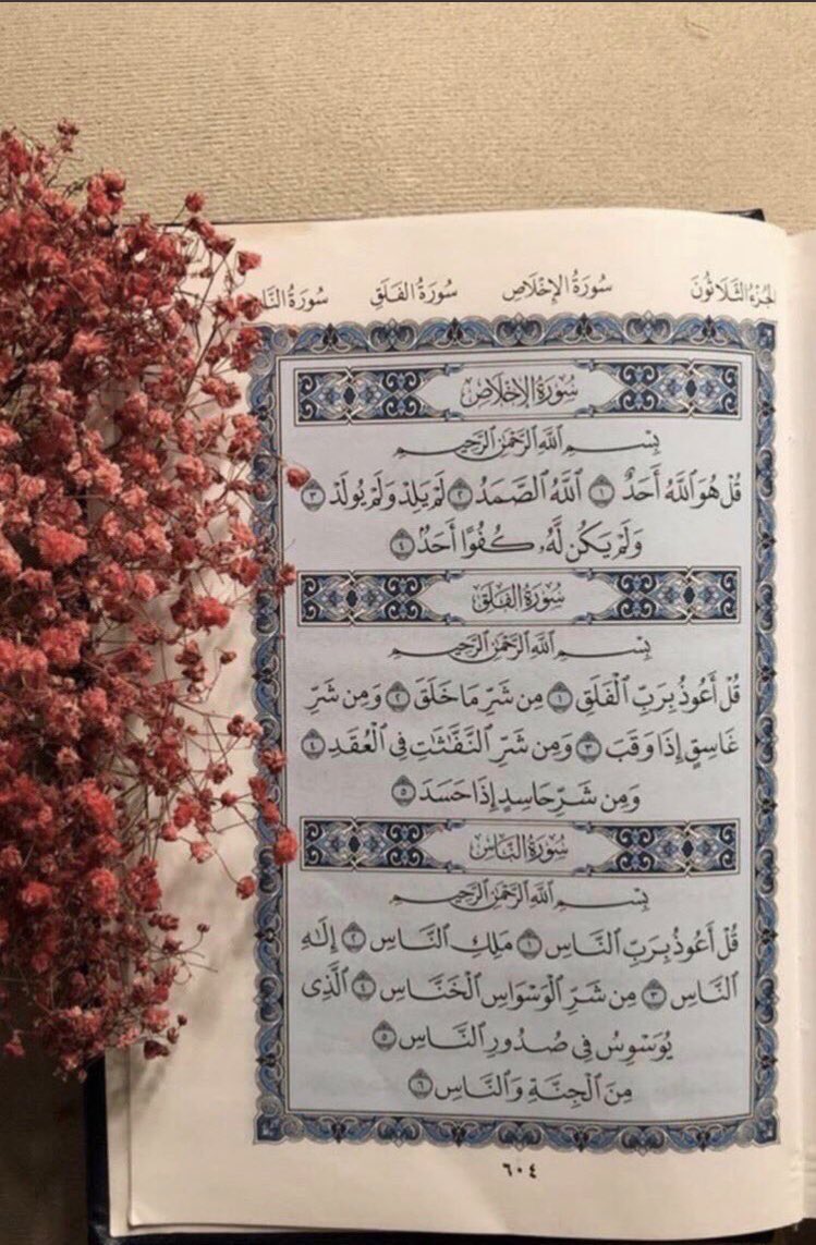 Laila11335's tweet photo. @2i11_ https://t.co/6DoASYqdwu