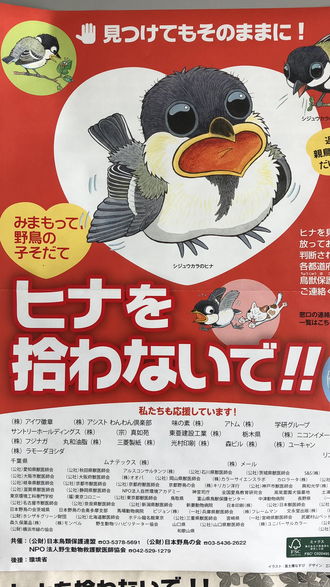保護していたヒヨドリの雛は死んでしまいました 原因はよく分かりませんが 雛を人の手で育てるのはとても大変です みなさん 鳥の雛が落ちてて 19 09 12 福井市自然史博物館 保護していたヒヨドリの雛は死んでしまいました 原因はよく分かりませんが 雛を人の手で育てるのはとても大変です みなさん 鳥の雛が落ちてて 19 09 12 福井市自然史博物館