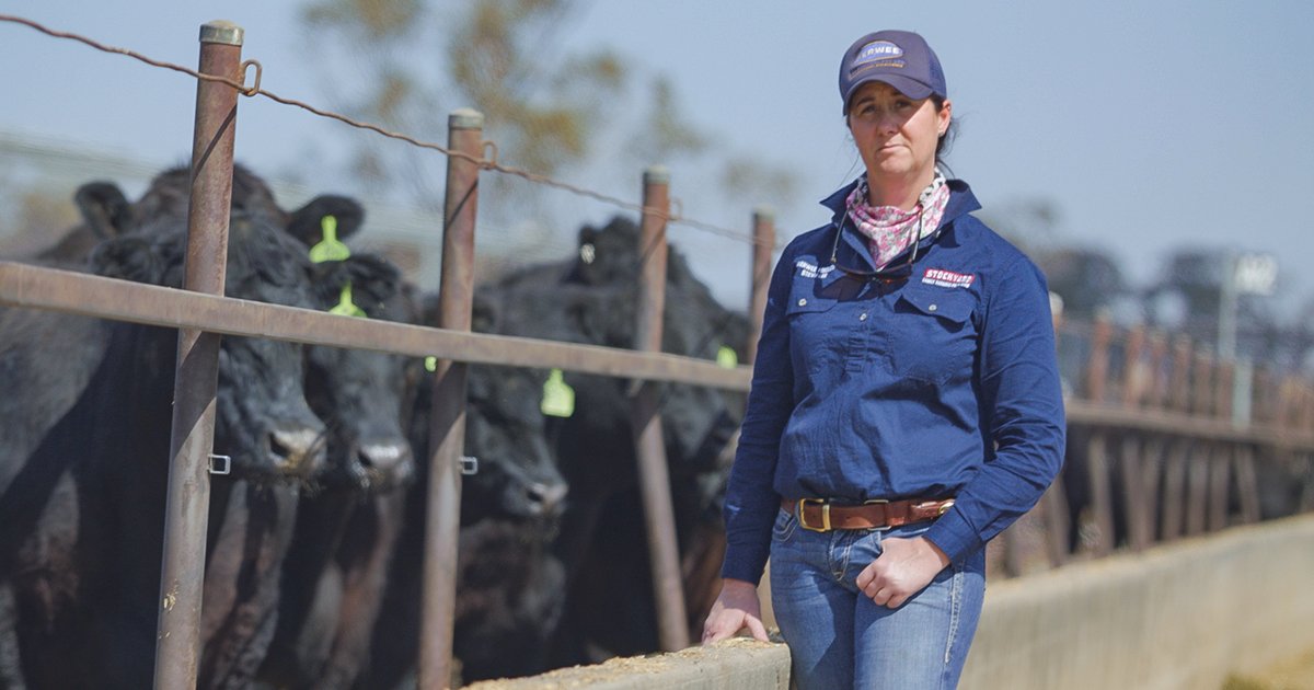 meatlivestock's tweet photo. Never compromise on quality is the message from Kerwee Feedlot, winners of the 2019 MSA Excellence in Eating Quality Awards for Most Outstanding MSA Feedlot in Queensland. #MSA #MSA2019awards #AusAg #AusAgChat https://t.co/UxHrn2u1CI https://t.co/WGCyWhznAQ