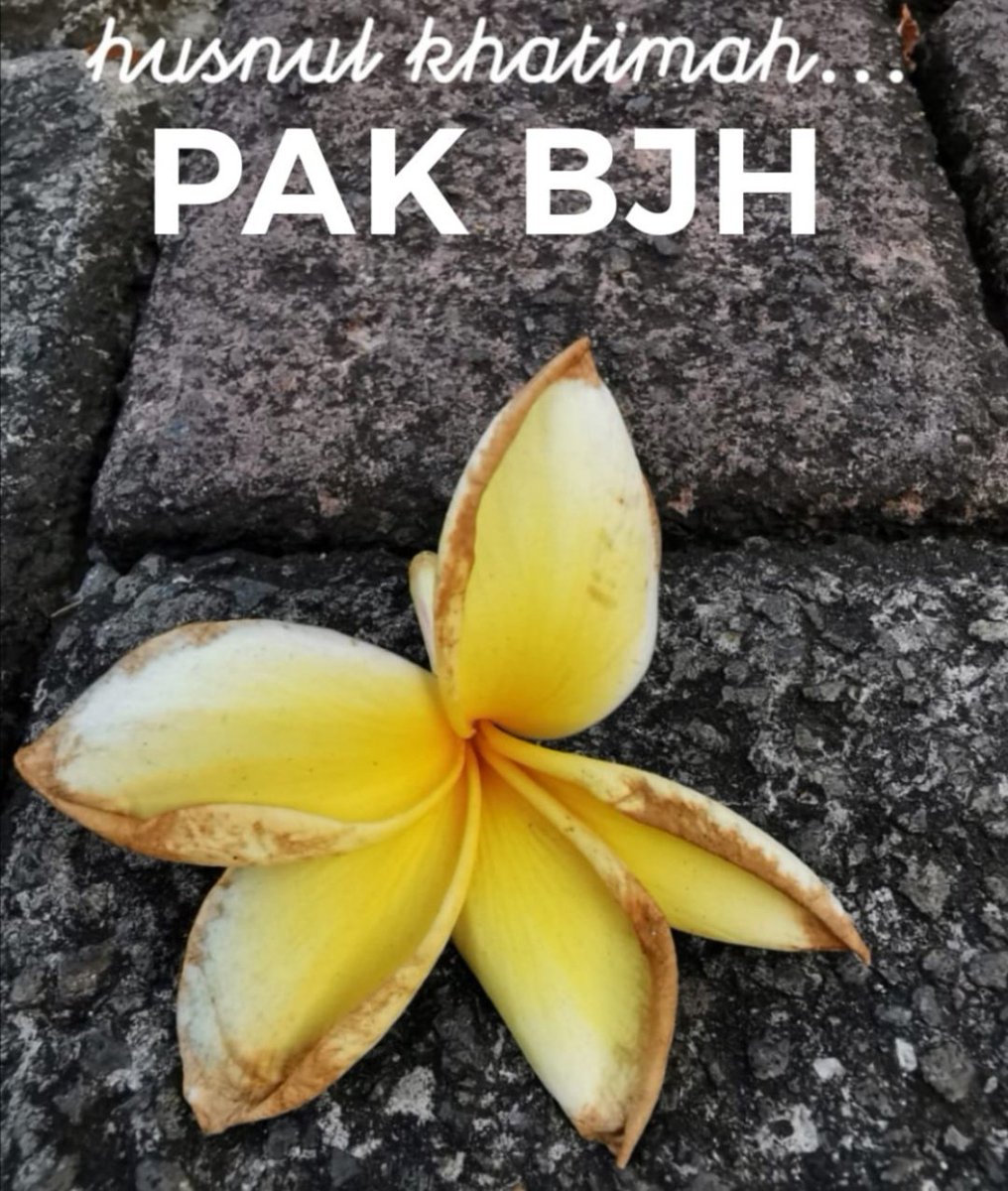 Orang baik, sosok besar, berpulang.
Inna lillahi wa Inna Ilaihi Rajiun
#bjhabibie #RIPHabibie #indonesiaberduka #habibie
#HabibieBerpulang #RIPBapakTeknologiIndonesia