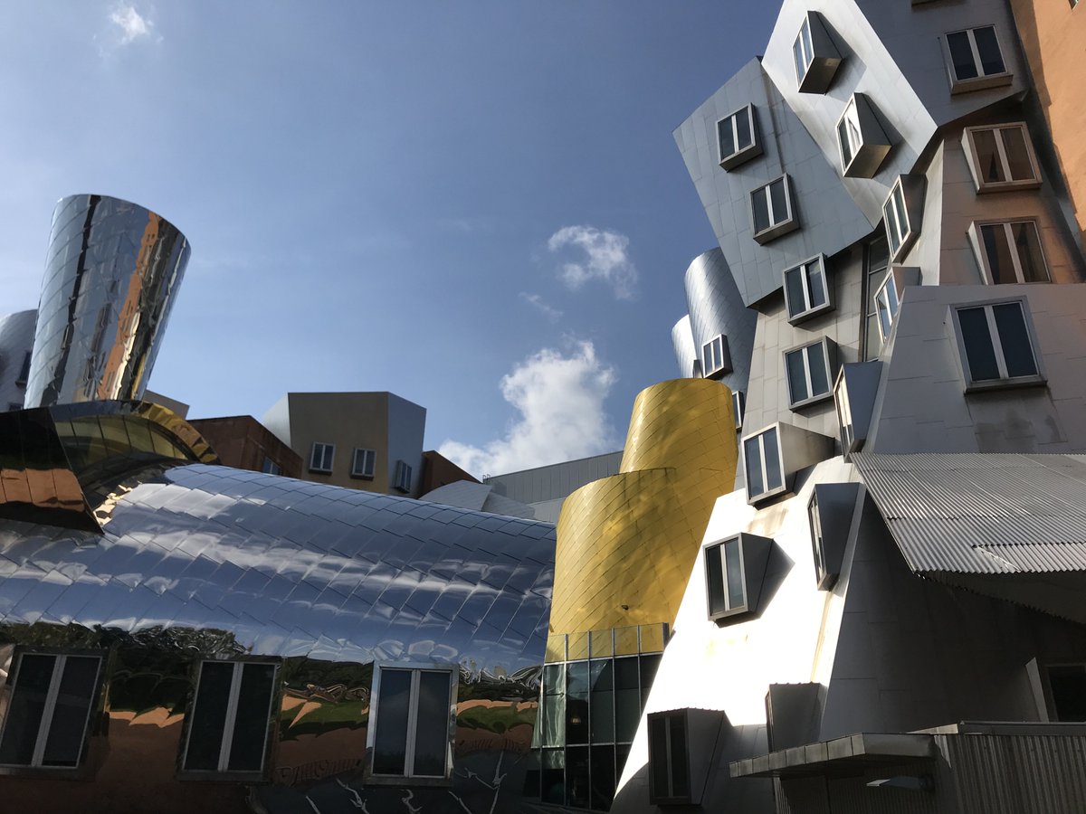 shu4603's tweet image. People say that Stata&apos;s architecture is supposed to represent the creativity and freedom going on inside the building. But honestly, sometimes it just feels like it&apos;s about to fall apart. There is a lack of #unityandflow in this structure