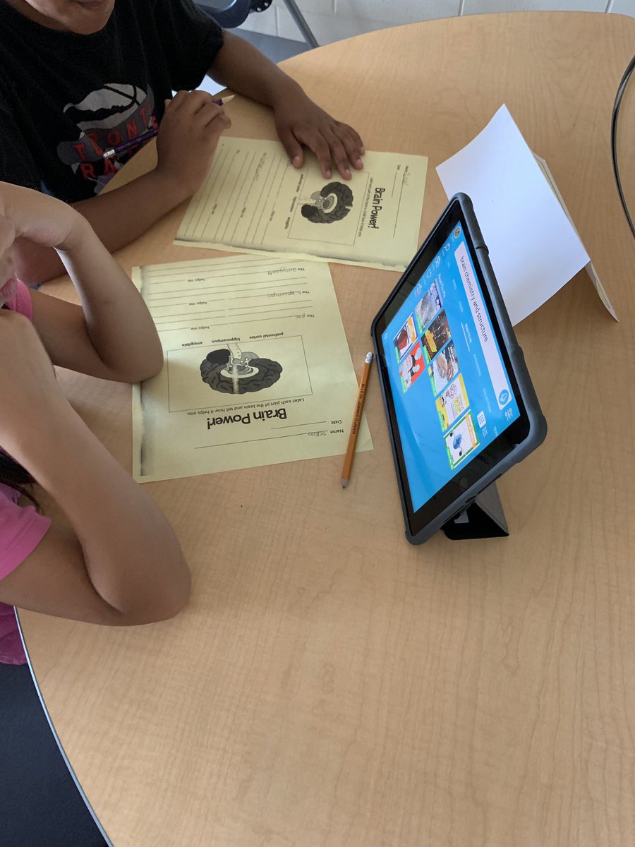 tzakas3's tweet photo. Today we learned how the brain works and the 3 important parts that help us learn!!! Ss loved researching and learning how the #amygdala #hippocampus and #prefrontalcortex work together!!! #mindsup #thebrain #yrdsbjlps #science https://t.co/jNavEETejq