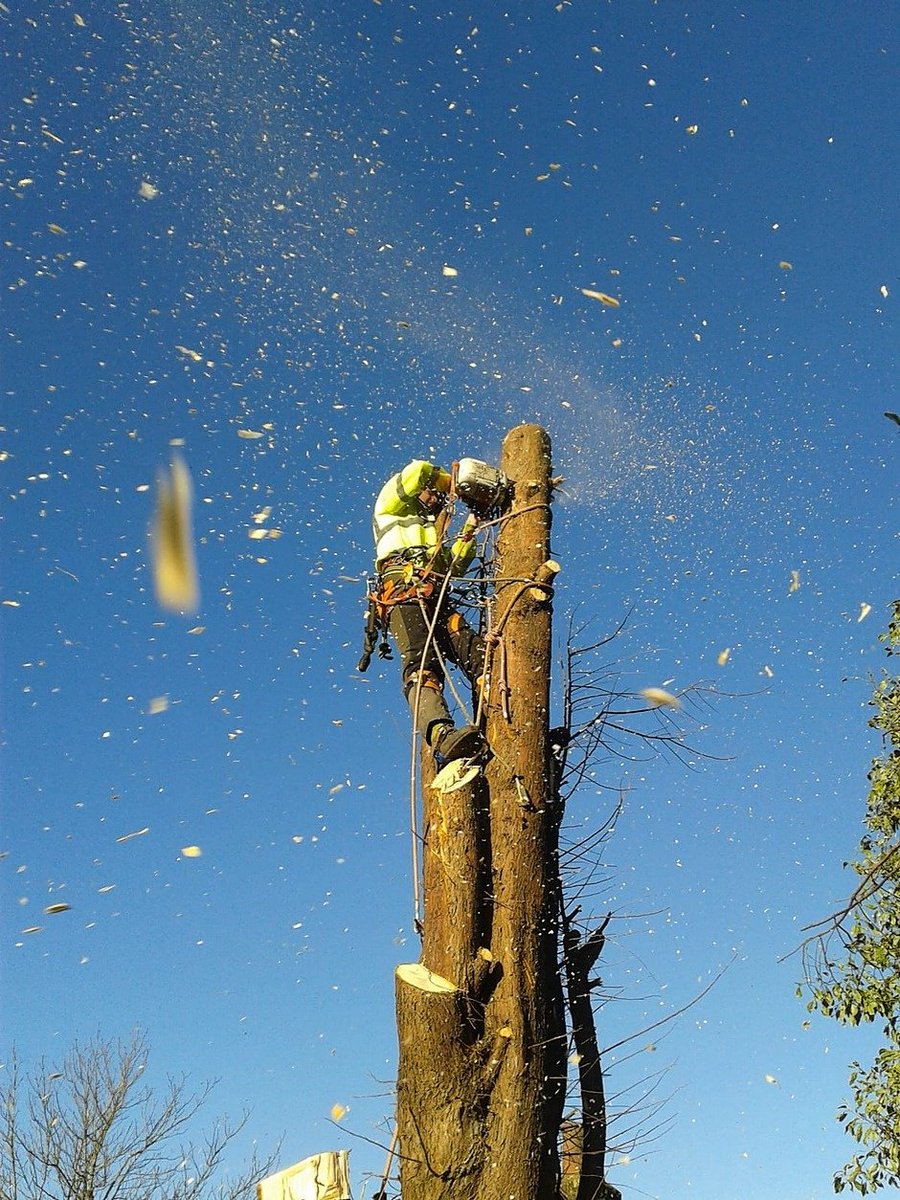 Looking to take your career to new heights? We are recruiting now for an #Arborist &amp; Senior Arborist. We offer great benefits for you and your family, including #flexibleworking and full #healthcarepackage available.  Apply here socsi.in/1QgVG  #treecutting #trees