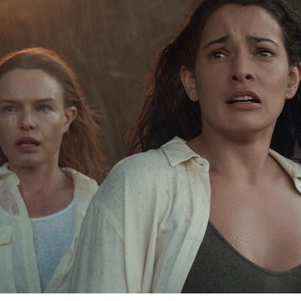 The I-Land- Netflix tweet media